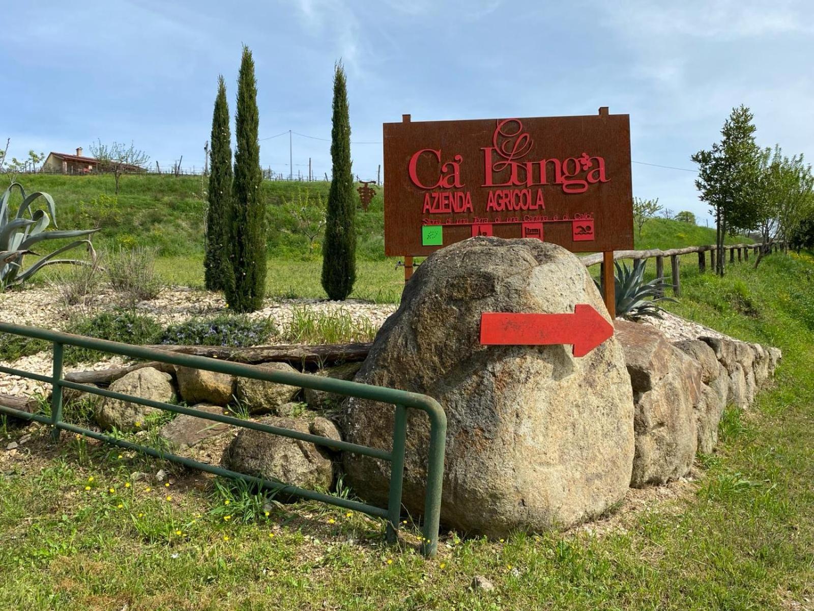 Azienda Agricola Ca' Lunga Cinto Euganeo Exteriér fotografie